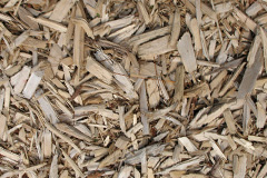 biomass boilers Platt